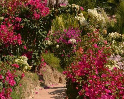 Posada Las Flores Mazunte Exterior foto